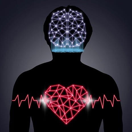 digital illustration of a silhouette of a human body with lines and dots of a polygonal-shaped brain and heart