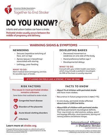 Perinatal stroke fact sheet in English