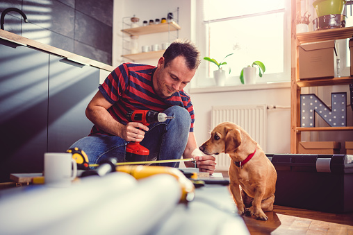 A casually-dressed White man is holding a drill while remodeling a kitchen. His small dog is sitting next to him.