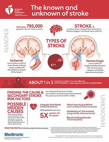 Cryptogenic Stroke Infographic