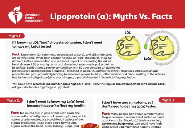 Lp(a) myths vs facts