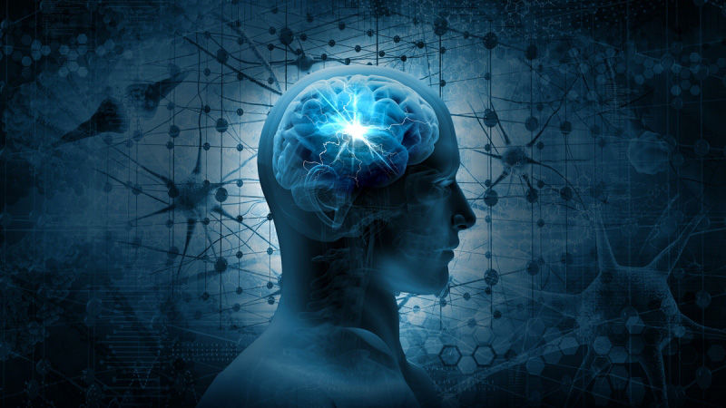 blue head profile  blue head profile